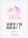 是谁穿了我的悍妻?!