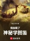我加载了神秘学图鉴