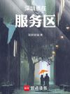 深圳还在服务区
