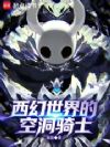 西幻世界的空洞骑士