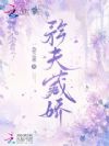 矜夫藏娇