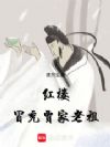 红楼:冒充贾家老祖