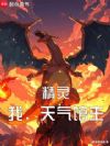 精灵:我,天气馆主