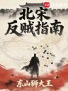 北宋反贼指南