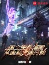 废土生存指南:从走私义体开始