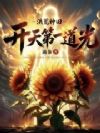 洪荒种田:开天第一道光