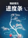 我能看见进度条