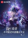 Re:我哥不可能是坏蛋魔法少女