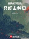 资质低下的我只好去种田