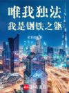 唯我独法:我是钢铁之躯