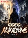 两界双穿:从武道到末世